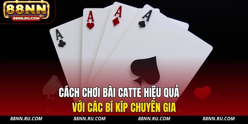 Cách chơi bài Catte hiệu quả với các bí kíp chuyên gia Cách chơi bài Catte hiệu quả với các bí kíp chuyên gia