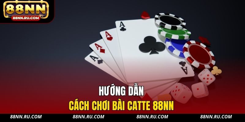 Hướng dẫn cách chơi bài Catte 88NN Hướng dẫn cách chơi bài Catte 88NN